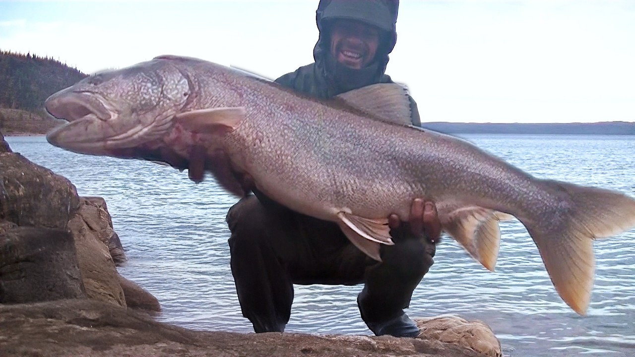 100-Day Survival Challenge In The Arctic Circle | He Caught A Big Fish | Build A Wooden Shelter