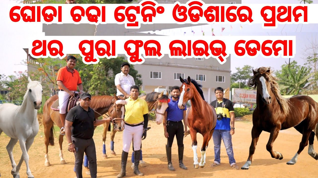 Horse Riding Training in Odisha live Demo with Visitors, Trainers, Club Members from Stallion Club