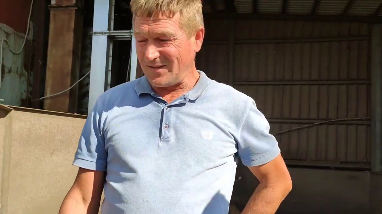 Совместный посев Вики и Рыжика - как очистить