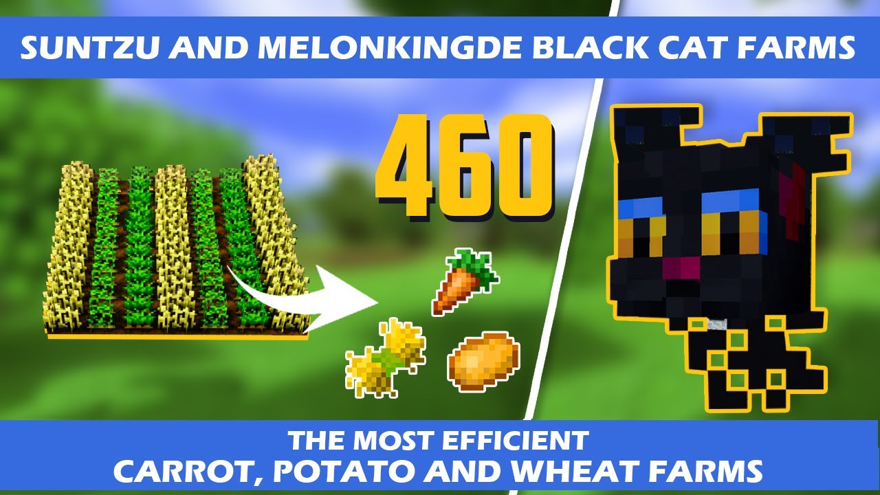 SunTzu and MelonKingDe's BlackCat Carrot, Potato, and Wheat Farm | Hypixel Skyblock