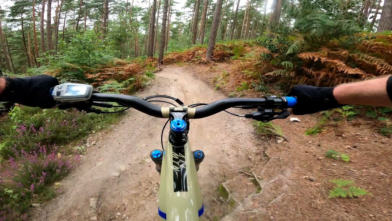 Surrey Hills MTB - BARRY KNOWS BEST 🔵 Trail