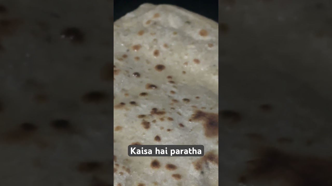 Paratha 