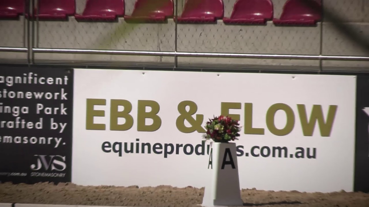 EBB & FLOW - Dressage