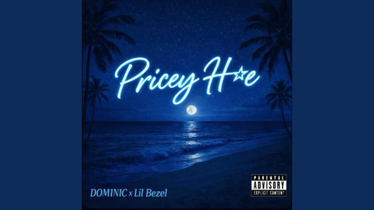 Pricey hoe (feat. DOM1N1C)