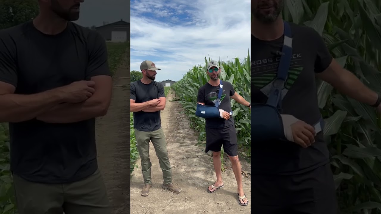 Update from the field: July 2, 2024