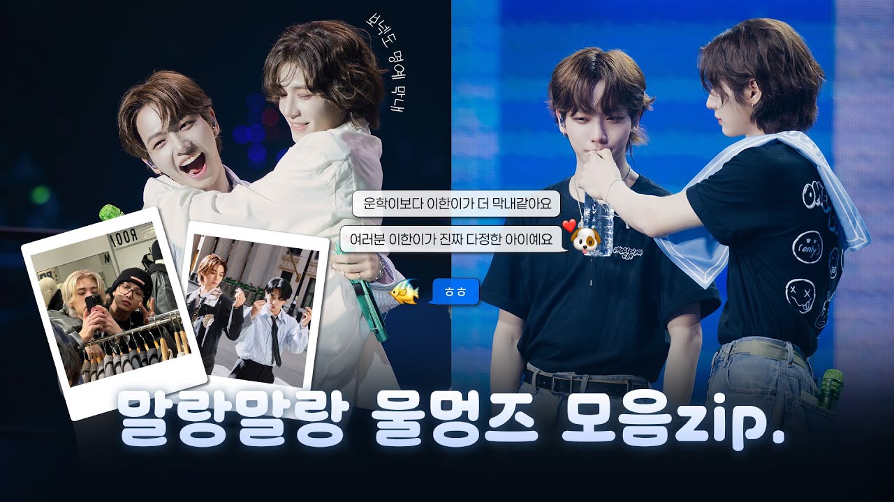 [보넥도/물멍즈] 🐠🐶말랑말랑 물멍즈 모음zip.