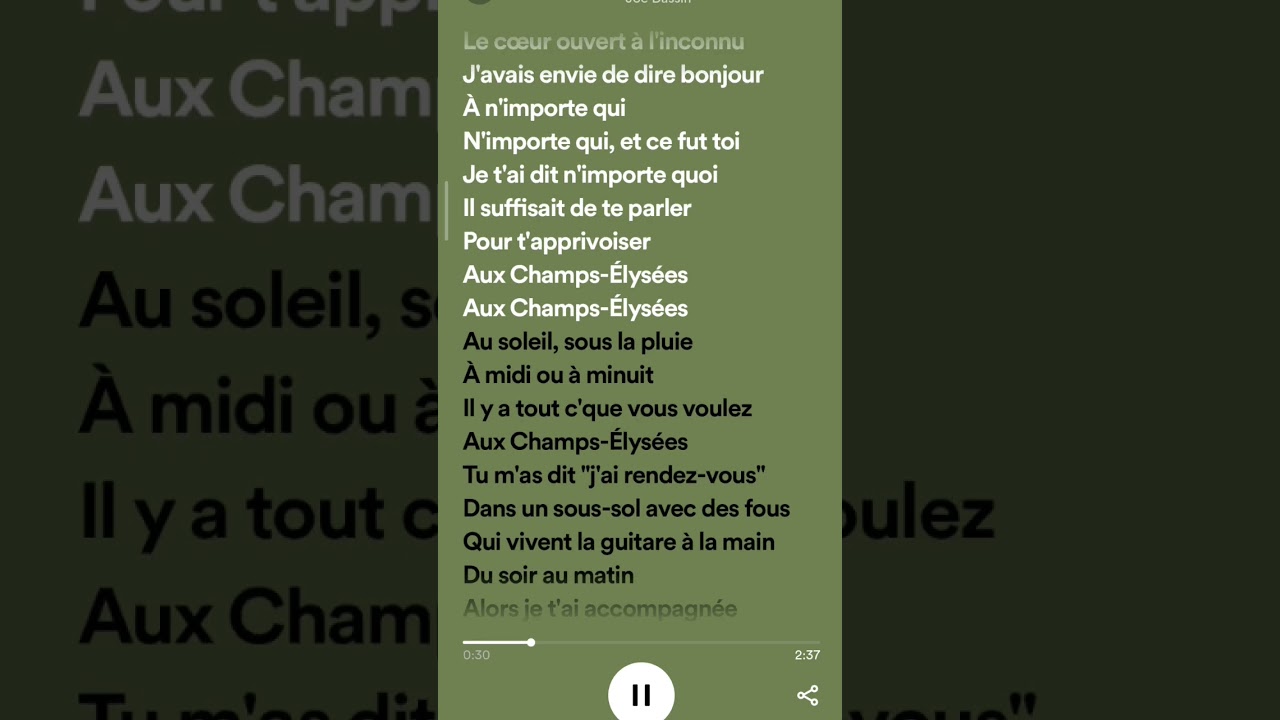Les Champs-Elys&eacute;es #speedup