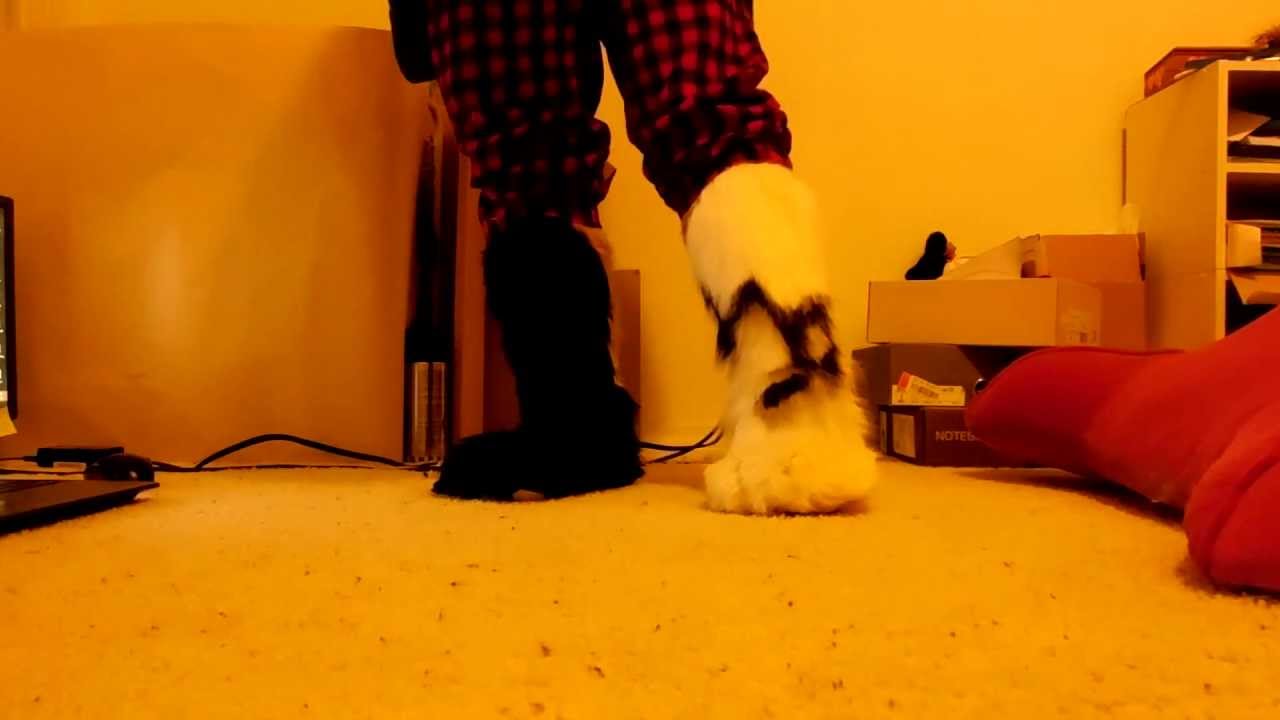 Qyt the Fox Sock Paws :D