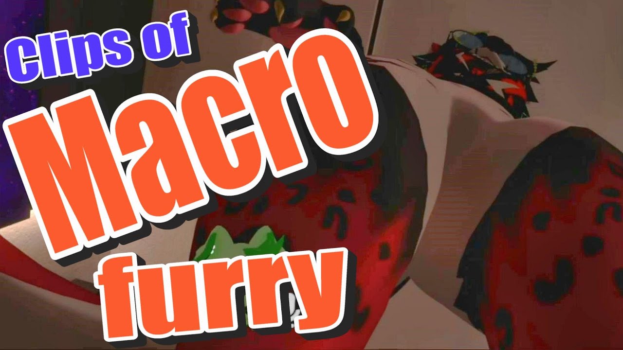 Macro furry community clips #3