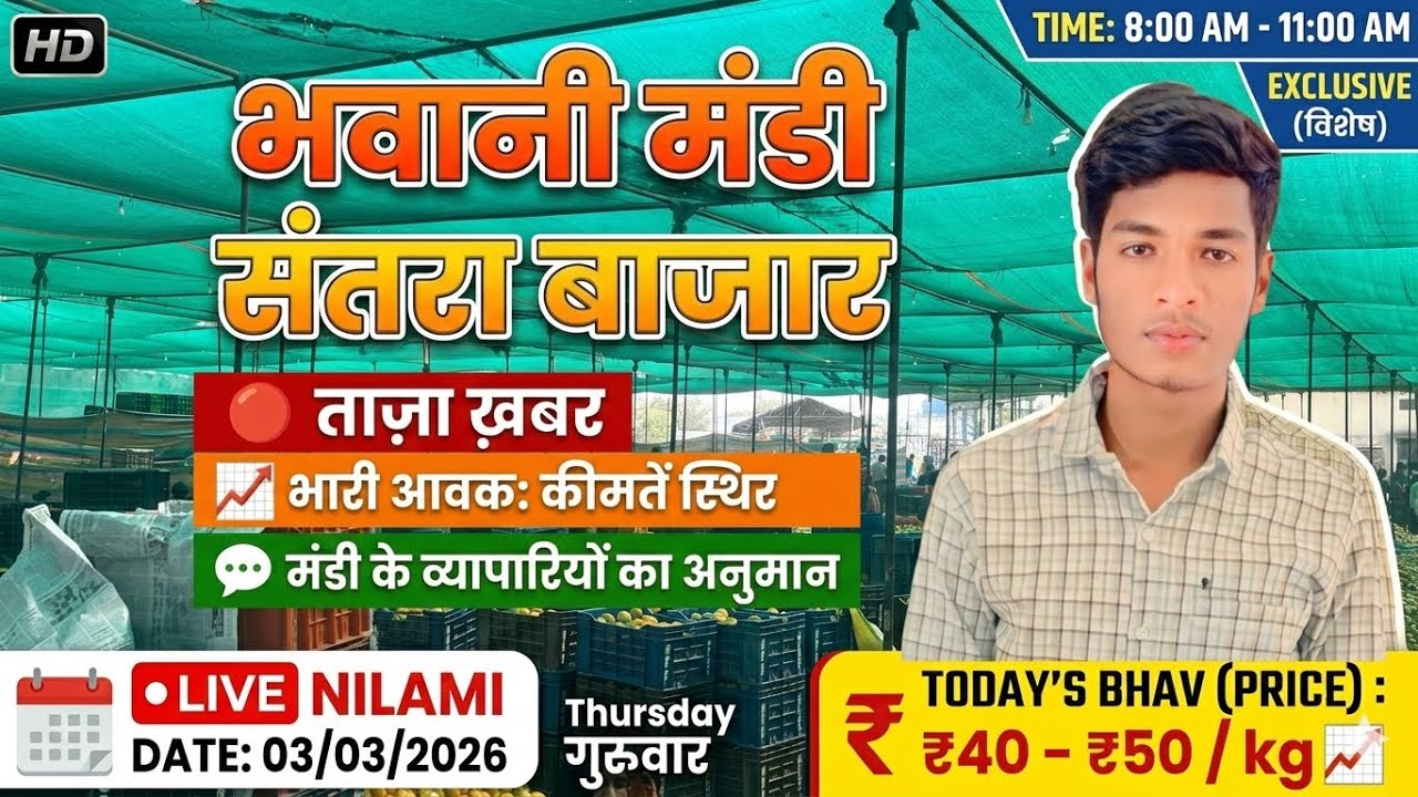 नारंगी मै बाजार कैसे रहे लेवाली मै जोश || भवानीमंडी दिनांक 04-03-26 #orenge #नारंगी #संतरा 