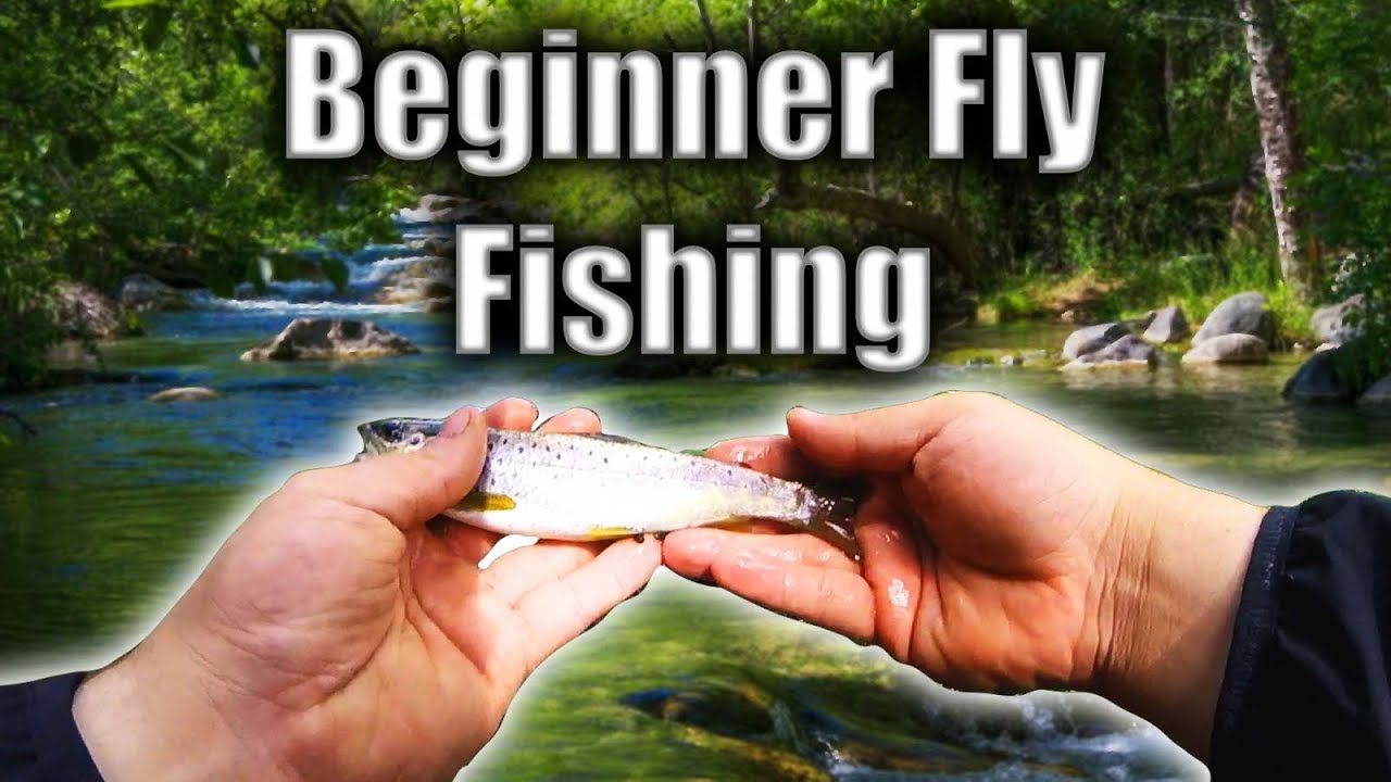 River Derwent Fly fishing (huge fish)