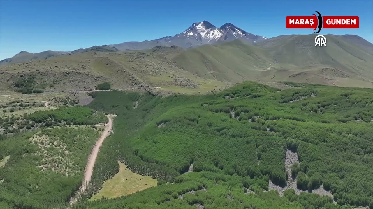 Ortaseki Ormanları ziyaretçilerini bekliyor