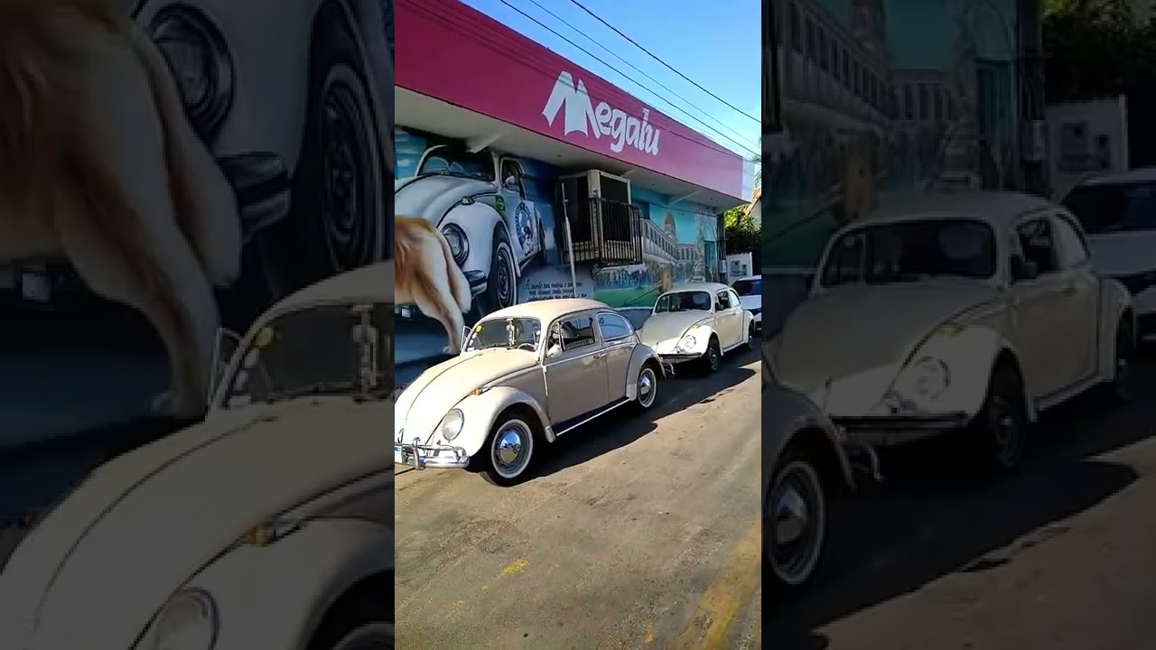 Jesse Kozechen e a seu c&atilde;o, Shurastey #shurastey #fusca #grafite #fabiogomestrindade #trindadegoias
