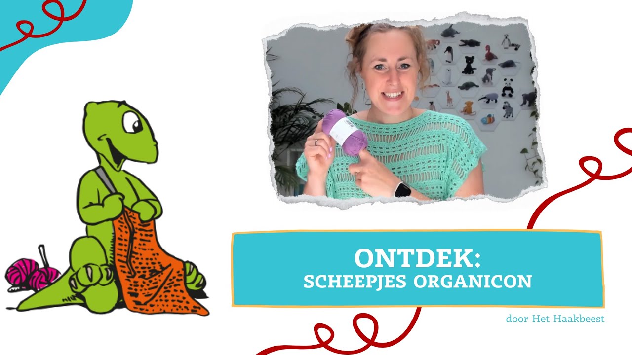 Product review: Scheepjes Organicon