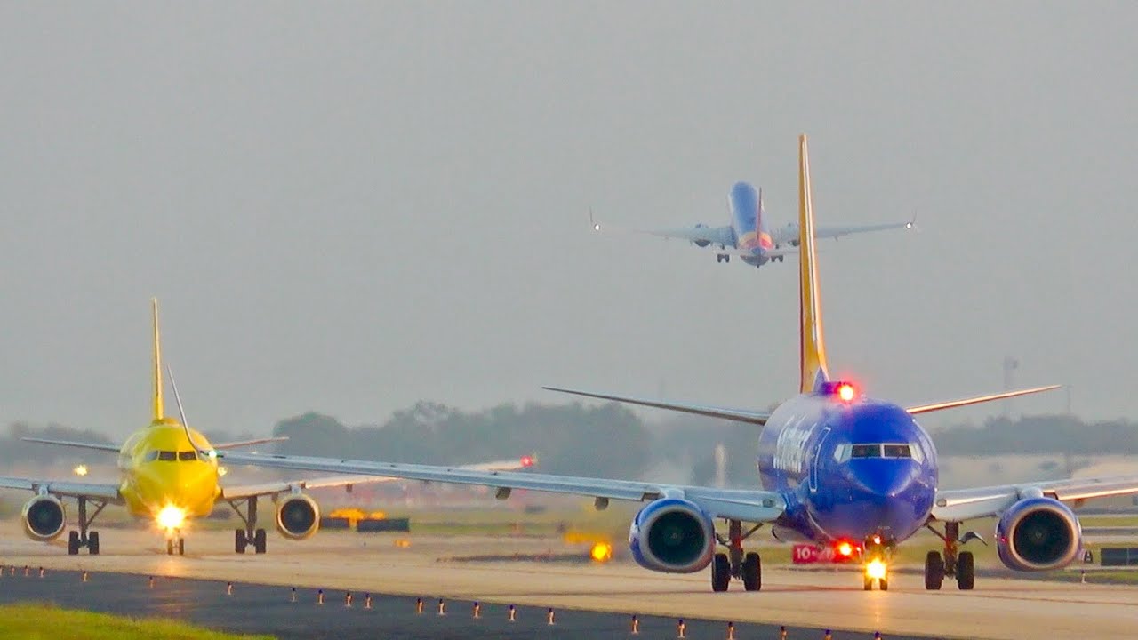 Steep Loud MD11 Takeoff AA Honor Livery Spotting TPA