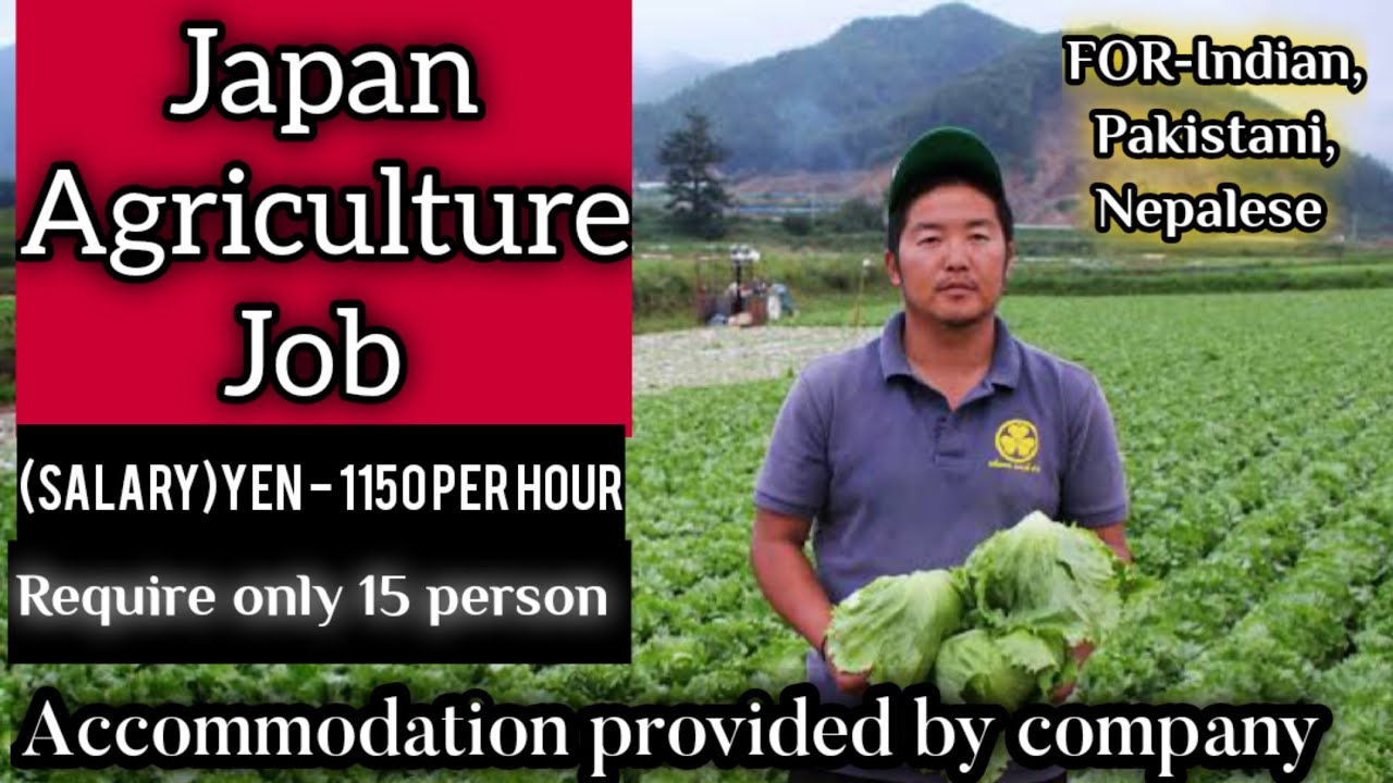 JAPAN JOB Agriculture general worker job,Good Salary with🎌🎌 Apartment by company 