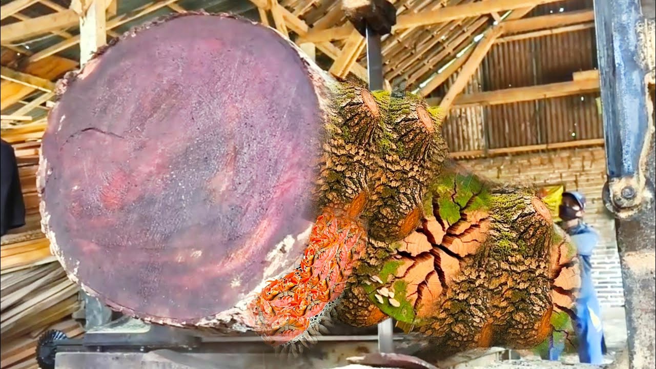 Apa yang pria ini temukan saat membelah kayu berlubang?