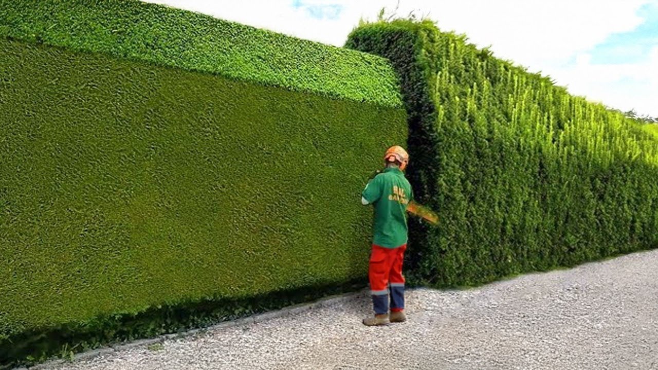 Amazing Machines Operating At An INSANE LEVEL ▶ 4