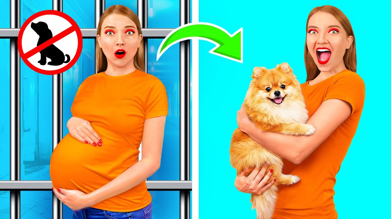 Как Пронести Животных в Тюрьму | Умные Гаджеты или Лайфхаки от Fun Fun Challenge