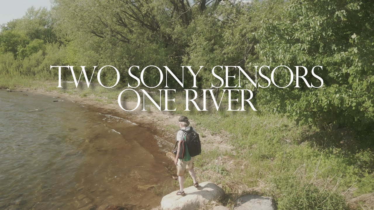 Two Sony sensors go to the beach