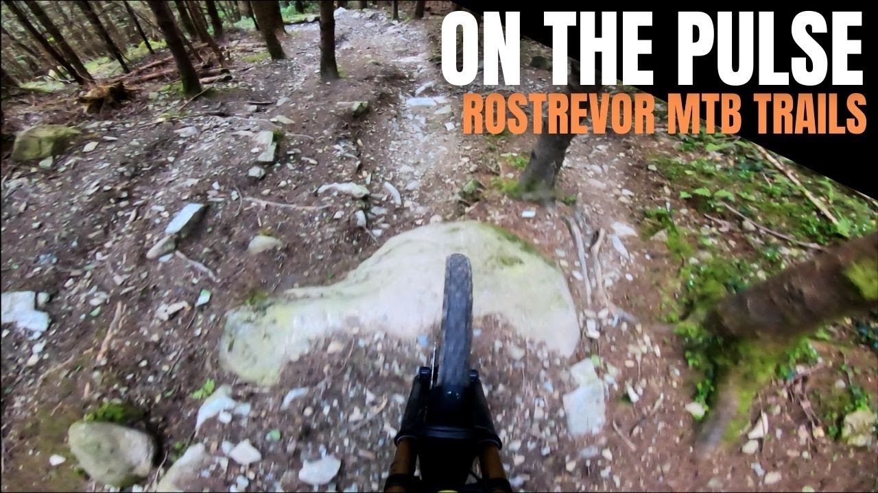 RAW SUNDAY | ON THE PULSE, Rostrevor MTB Trails, Northern Irelan