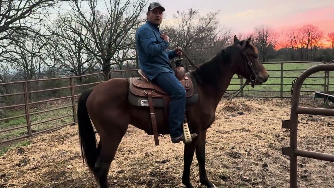 Rooster’s ride outside. 