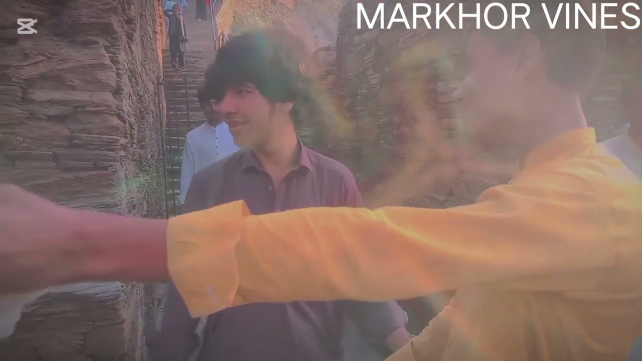 New comedy by MARKHOR VINES DIRECTOR BY MAAZ KHAN #funny video 
