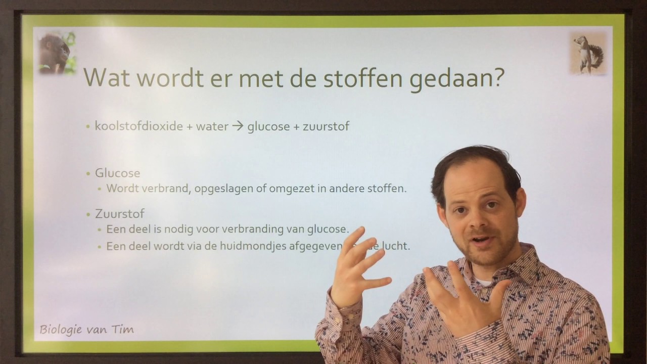 Biologie van Tim - Planten: fotosynthese en parasitaire planten