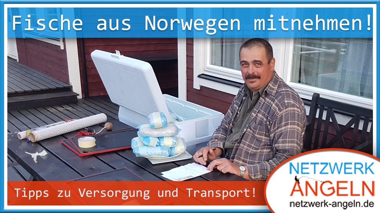 Geangelte Fische aus Norwegen mitnehmen - Tipps & Tricks zu Versorgung und Transport!