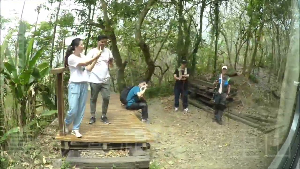 13042023 阿里山小火車 嘉義 奮起湖 阿里山