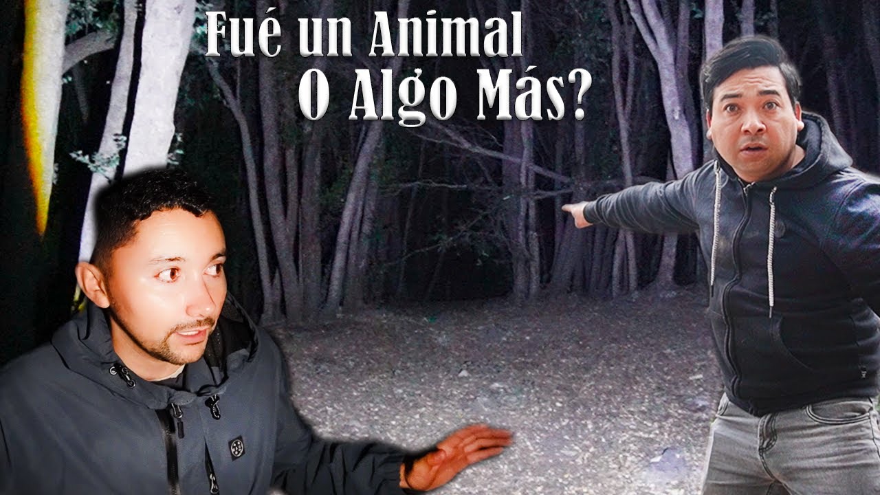 Entramos Al Bosque Brujas de NOCHE y No Est&aacute;bamos SOLOS.