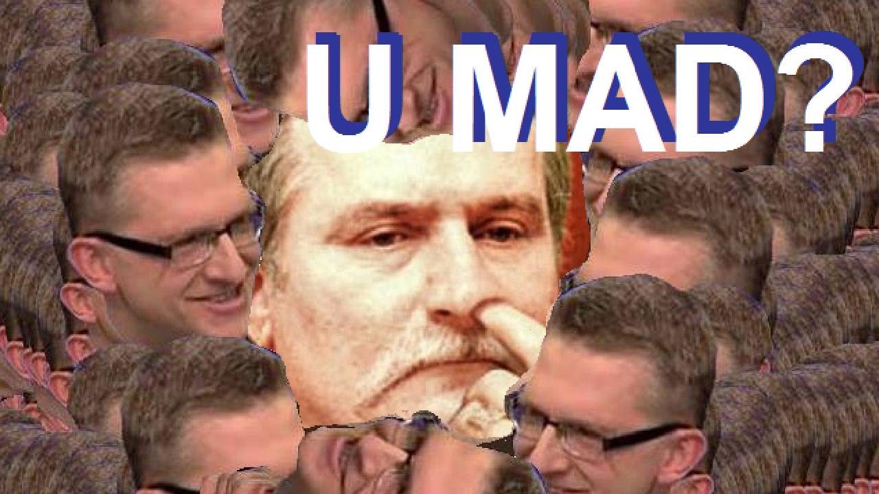Grzegorz Braun trolluje Bolka