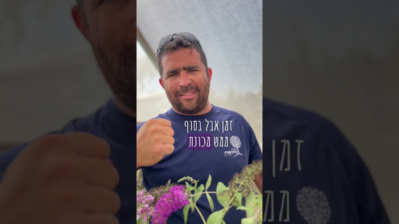קבלו 2 שיחים עם פריחות מדהימות שימשכו לגינה שלכם פרפרים, ציפורי שיר ויונקי דבש