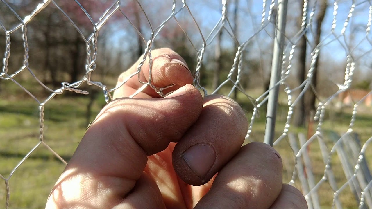 Poultry Netting Tips And Tricks!