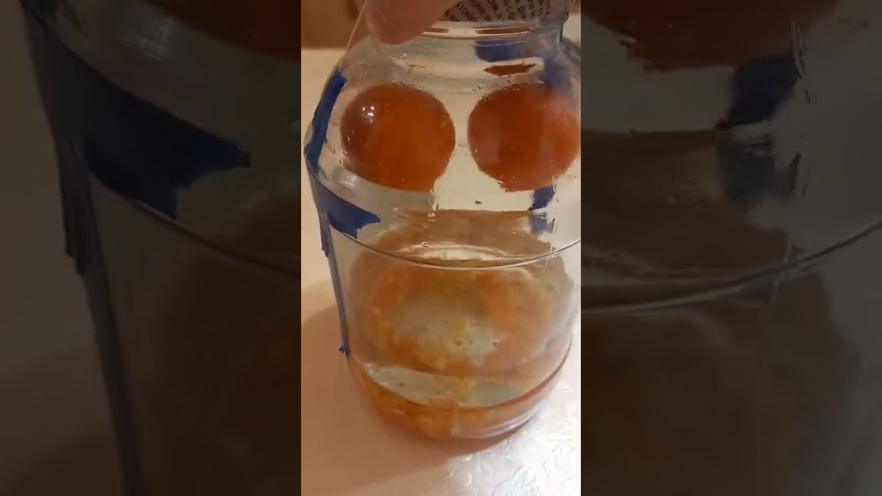 Настойка мандариновая (прямой настой + висельник)