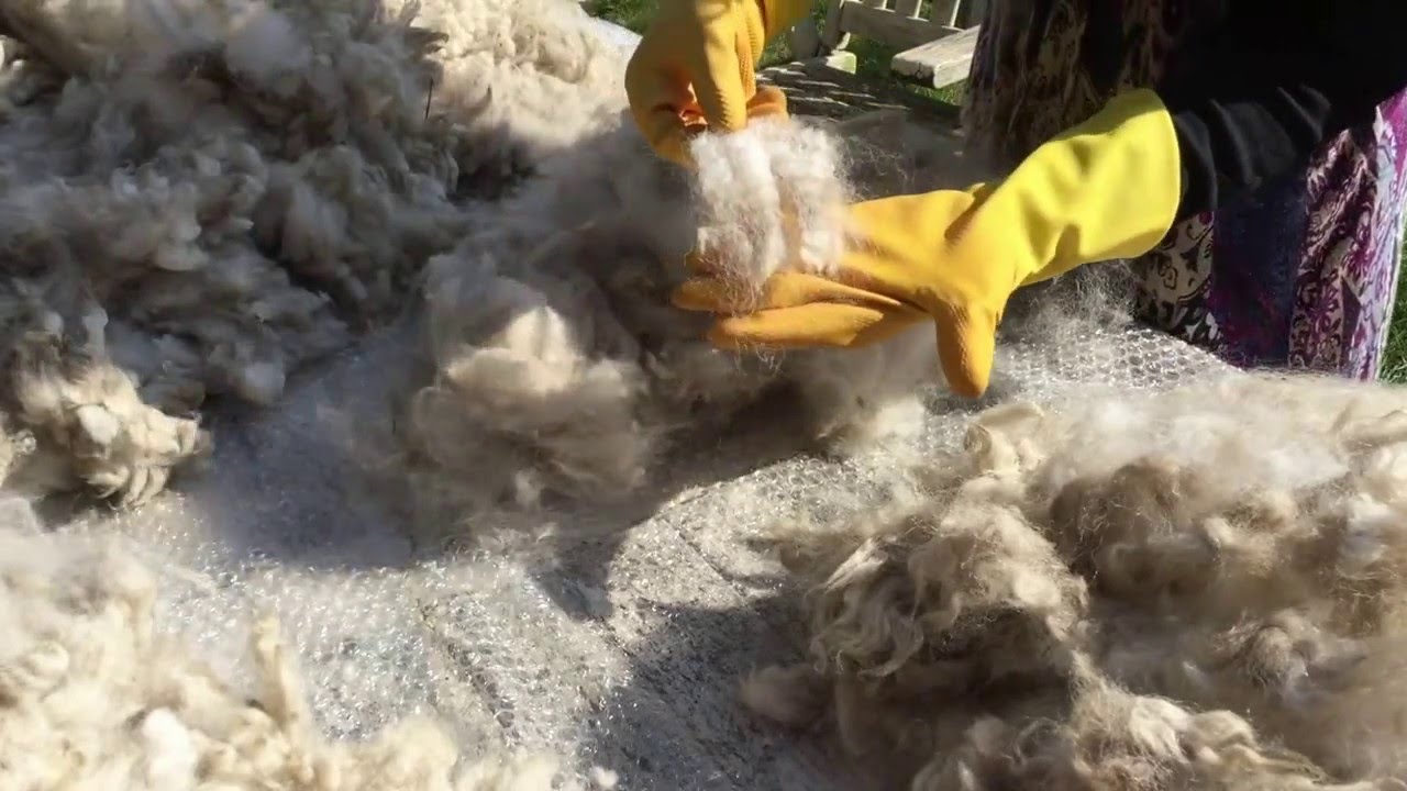 How To Skirt An Alpaca Fleece by pinkalpaca.co.uk