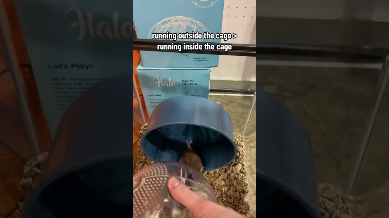 everyone deserves some outside time 