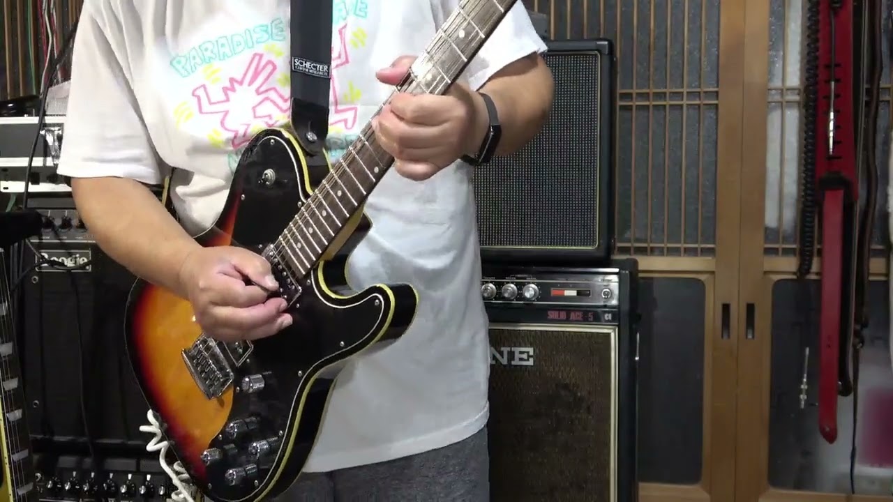 Schecter Daiamond Series  PT FastBack 2005 改