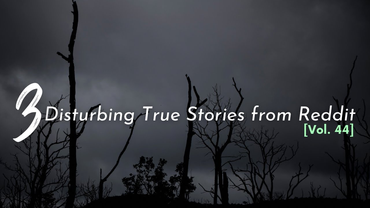 3 Disturbing True Stories from Reddit [Vol. 44]