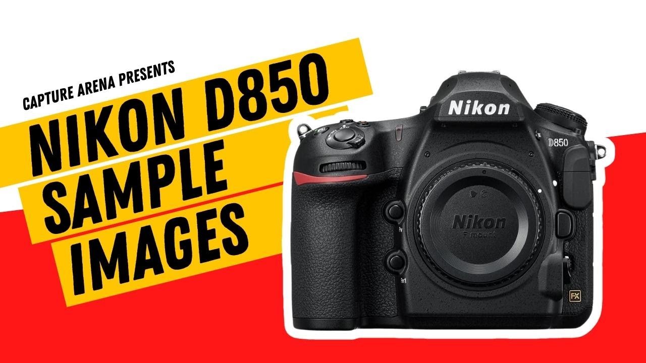 Nikon D850 (4K) Sample Images with Camera Settings (2023)