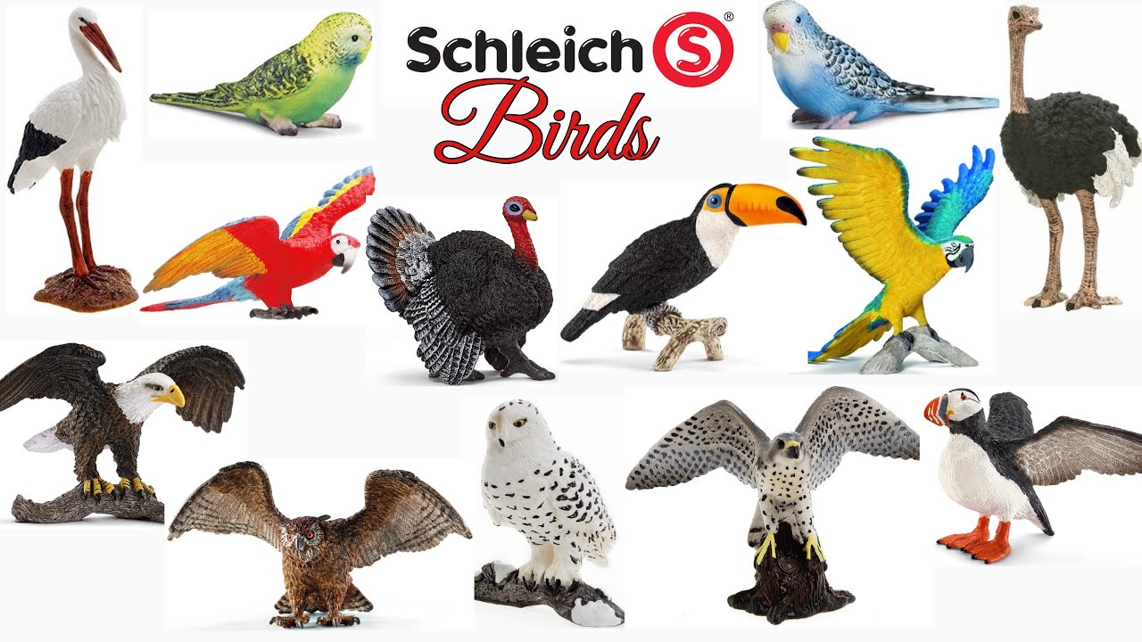 Schleich Birds | 18 Birds | My Schleich Bird Collection | Animal Collection | Schleich 2020 and More