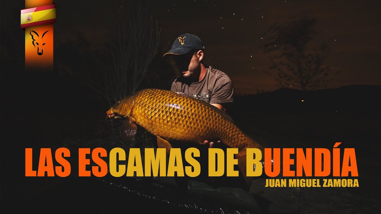 LAS ESCAMAS DE BUENDÍA