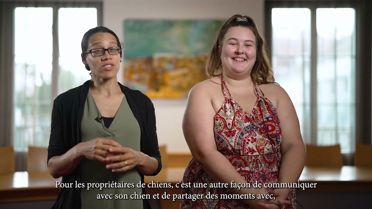 BP#2 - Projet 12 - Parc canin sur la ville