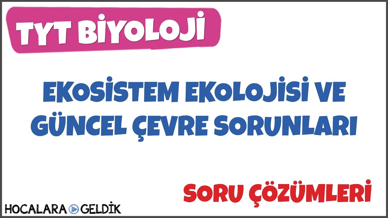 Ekosistem Ekolojisi ve Güncel Çevre Sorunları Soru Çözümleri