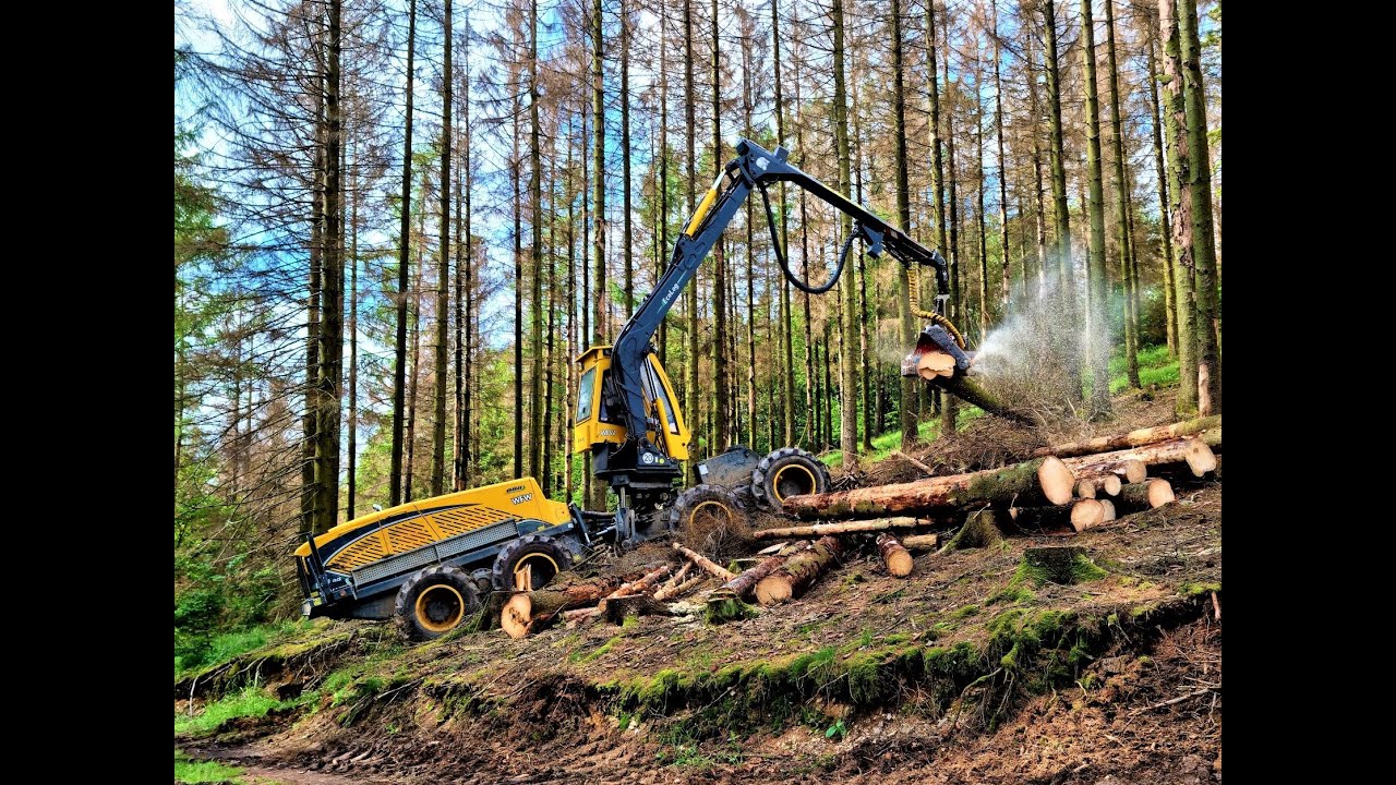 🌲 *long WOLF in Action* • WFW Ecolog 688E • Harvester in Action • Forsttechnik Achenbach • Part-1 🌲