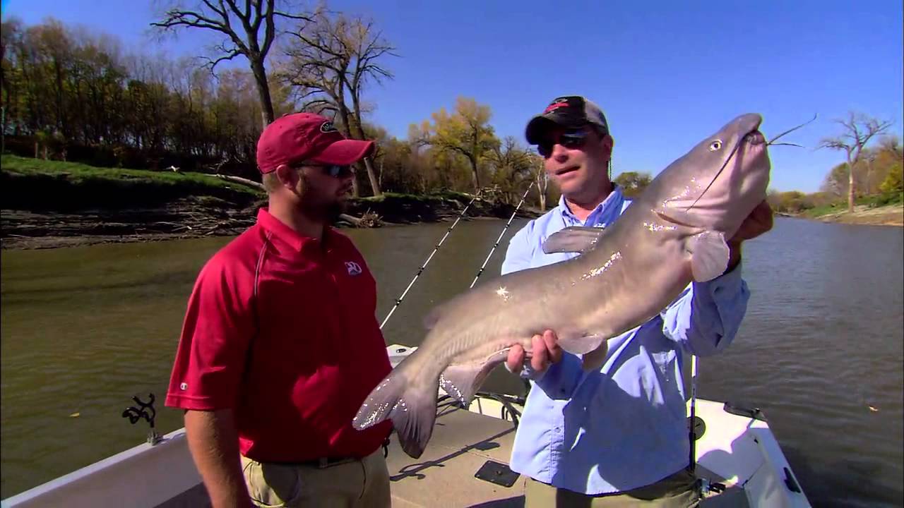 Spot-Hopping Channel Catfish Brutes!