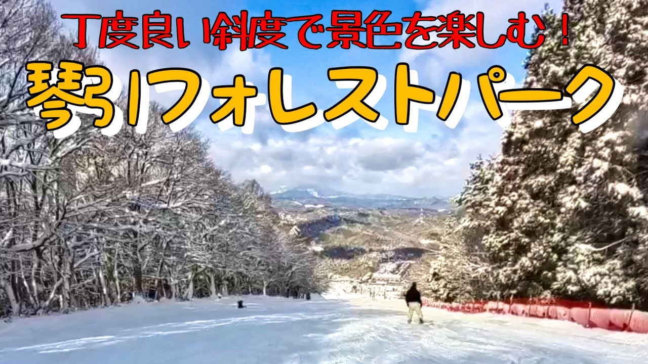 【森の中の綺麗な景色❗️】適度な斜度、ファミリーパークで家族連れに人気‼️琴引フォレストパーク