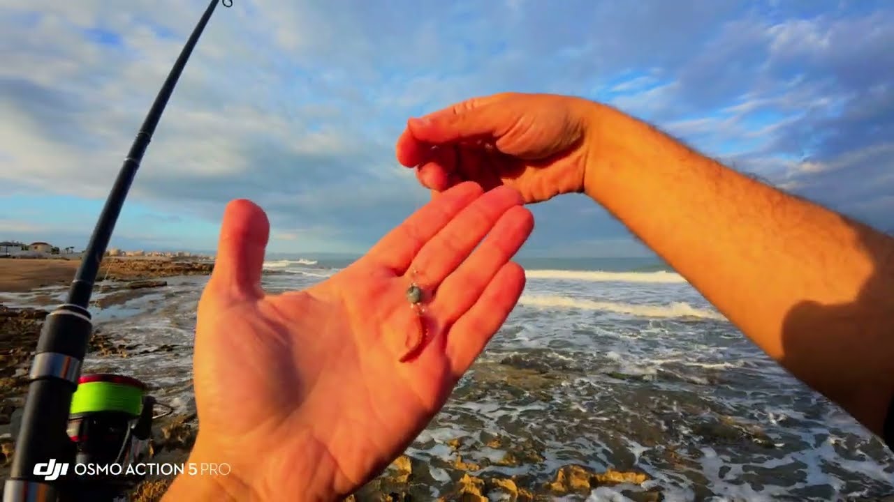 דייג 2025 משקולת 4 גרם קרס מספר 4 תולעי סיליקון Berkeley gulp ים עובד המון מצב רוח וכמובן דגים