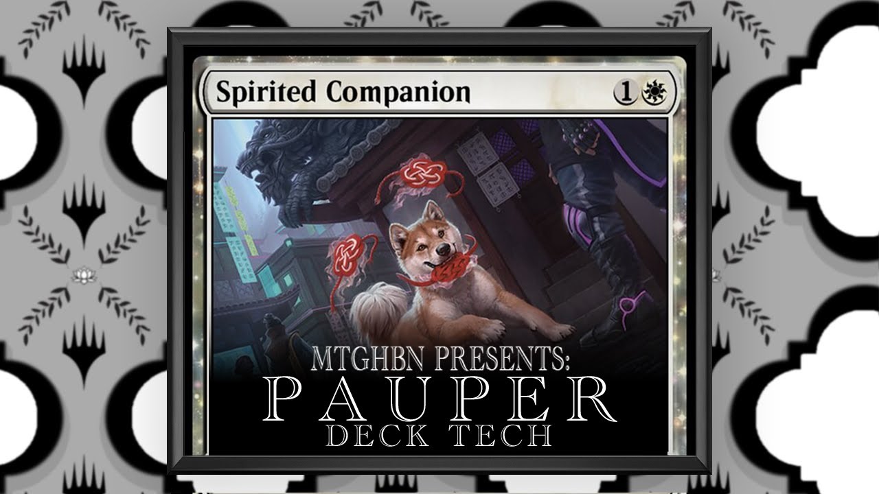 Pauper Deck Tech: WEENIE! White Weenie Enchantment ETB Subtheme Aggro | Magic the Gathering