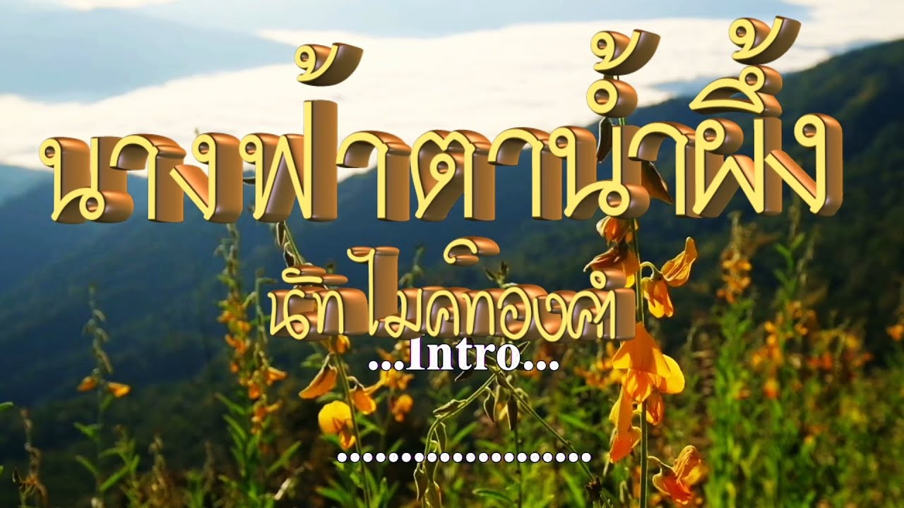 นางฟ้าตาน้ำผึ้ง นัท ไมค์ทองคำ #คาราโอเกะ #karaoke